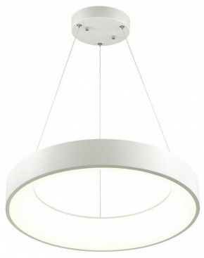 Подвесной светильник Odeon Light Sole 4066/50L в Екатеринбурге - mebel24.online | фото 3