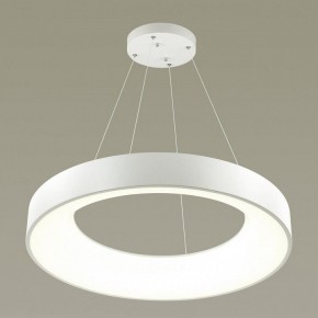 Подвесной светильник Odeon Light Sole 4066/50L в Екатеринбурге - mebel24.online | фото 4