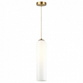 Подвесной светильник Odeon Light Vosti 4642/1 в Екатеринбурге - mebel24.online | фото 2