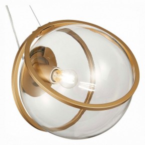 Подвесной светильник ST-Luce Acerra SL1181.313.01 в Екатеринбурге - mebel24.online | фото 2