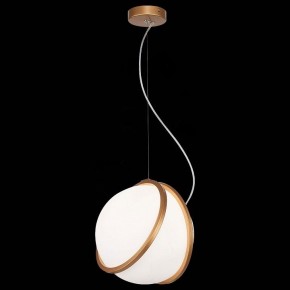 Подвесной светильник ST-Luce Acerra SL1181.353.01 в Екатеринбурге - mebel24.online | фото 4