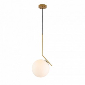 Подвесной светильник ST-Luce Codda SL1148.303.01 в Екатеринбурге - mebel24.online | фото 2