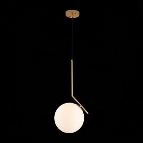 Подвесной светильник ST-Luce Codda SL1148.303.01 в Екатеринбурге - mebel24.online | фото 5