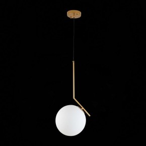 Подвесной светильник ST-Luce Codda SL1148.303.01 в Екатеринбурге - mebel24.online | фото 6