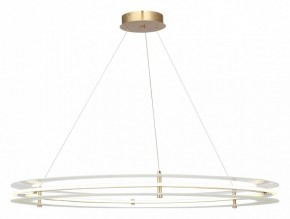 Подвесной светильник ST-Luce FAGY SL6245.213.01 в Екатеринбурге - mebel24.online | фото 2