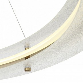 Подвесной светильник ST-Luce FAGY SL6245.213.01 в Екатеринбурге - mebel24.online | фото 6