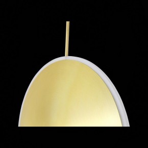 Подвесной светильник ST-Luce Imente SL1221.213.01 в Екатеринбурге - mebel24.online | фото 9