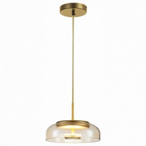 Подвесной светильник ST-Luce Lacio SL6002.203.01 в Екатеринбурге - mebel24.online | фото