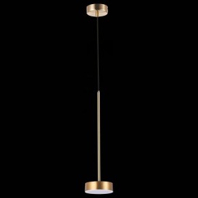 Подвесной светильник ST-Luce Pances SL6000.303.01 в Екатеринбурге - mebel24.online | фото 5