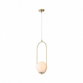 Подвесной светильник ST-Luce Penolo SL1118.203.01 в Екатеринбурге - mebel24.online | фото 3