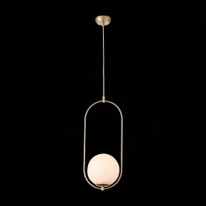 Подвесной светильник ST-Luce Penolo SL1118.203.01 в Екатеринбурге - mebel24.online | фото 6