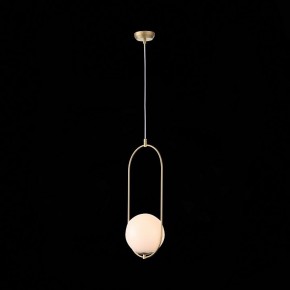 Подвесной светильник ST-Luce Penolo SL1118.203.01 в Екатеринбурге - mebel24.online | фото 7