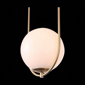 Подвесной светильник ST-Luce Penolo SL1118.203.01 в Екатеринбурге - mebel24.online | фото 9