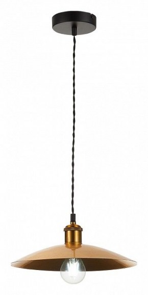 Подвесной светильник ST-Luce Romo SL1017.203.01 в Екатеринбурге - mebel24.online | фото 4