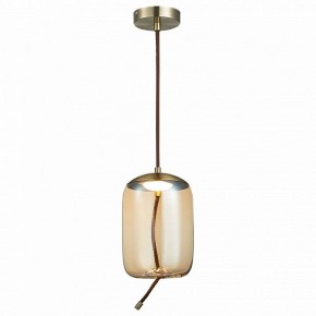 Подвесной светильник ST-Luce Sl6108 SL6108.323.01 в Екатеринбурге - mebel24.online | фото 2