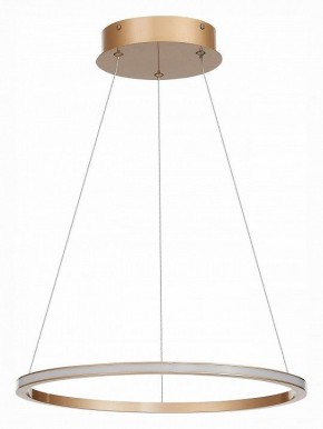 Подвесной светильник ST-Luce ST604 OUT ST604.243.22 в Екатеринбурге - mebel24.online | фото 2