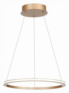 Подвесной светильник ST-Luce ST604 OUT ST604.243.22 в Екатеринбурге - mebel24.online | фото 3