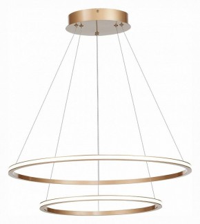 Подвесной светильник ST-Luce ST604 OUT ST604.243.56 в Екатеринбурге - mebel24.online | фото 3