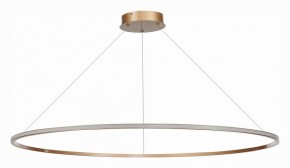 Подвесной светильник ST-Luce ST604 OUT ST604.243.57 в Екатеринбурге - mebel24.online | фото 2