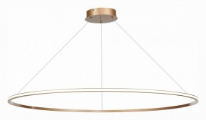 Подвесной светильник ST-Luce ST604 OUT ST604.243.57 в Екатеринбурге - mebel24.online | фото 3