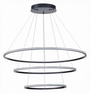 Подвесной светильник ST-Luce ST604 OUT ST604.443.114 в Екатеринбурге - mebel24.online | фото 2