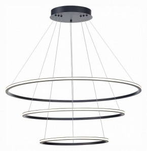 Подвесной светильник ST-Luce ST604 OUT ST604.443.114 в Екатеринбурге - mebel24.online | фото 3