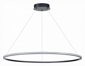 Подвесной светильник ST-Luce ST604 OUT ST604.443.57 в Екатеринбурге - mebel24.online | фото 2