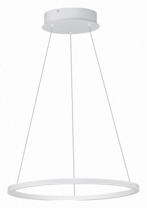 Подвесной светильник ST-Luce ST604 OUT ST604.543.22 в Екатеринбурге - mebel24.online | фото 2