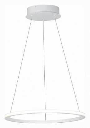 Подвесной светильник ST-Luce ST604 OUT ST604.543.22 в Екатеринбурге - mebel24.online | фото 3