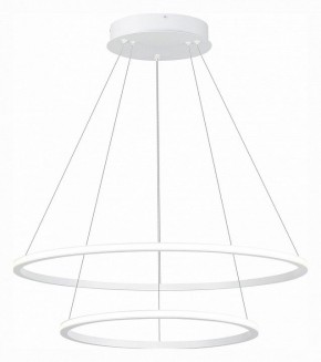 Подвесной светильник ST-Luce ST604 OUT ST604.543.56 в Екатеринбурге - mebel24.online | фото 3