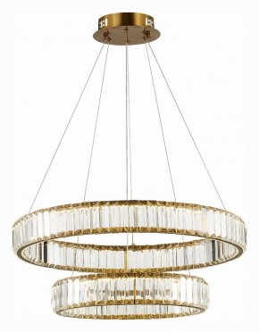 Подвесной светильник ST-Luce Tivoli SL1622.303.02 в Екатеринбурге - mebel24.online | фото 3