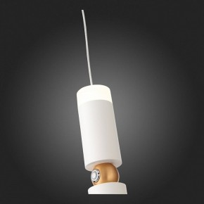 Подвесной светильник ST-Luce Tuore SL1592.503.01 в Екатеринбурге - mebel24.online | фото 5