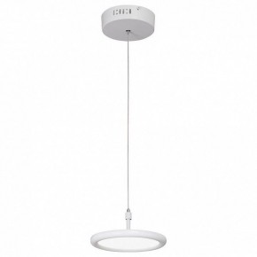 Подвесной светильник Vitaluce V4604 V4604-0/1S в Екатеринбурге - mebel24.online | фото 2