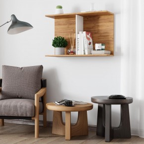 Полка Ион-3 (крафт/белый) в Екатеринбурге - mebel24.online | фото 3