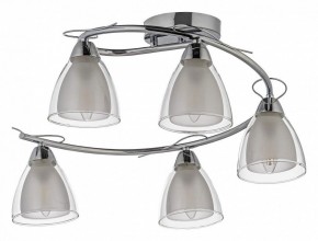 Потолочная люстра Arti Lampadari Paola, Tavenna Nickel Paola E 1.1.5 N в Екатеринбурге - mebel24.online | фото