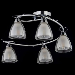 Потолочная люстра Arti Lampadari Paola, Tavenna Nickel Paola E 1.1.5 N в Екатеринбурге - mebel24.online | фото 2