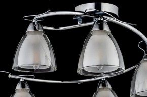 Потолочная люстра Arti Lampadari Paola, Tavenna Nickel Paola E 1.1.5 N в Екатеринбурге - mebel24.online | фото 4