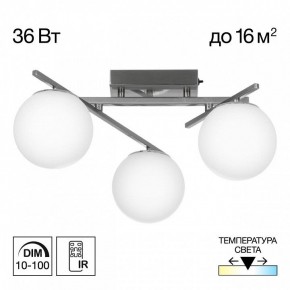 Потолочная люстра Citilux Dorsy CL223131 в Екатеринбурге - mebel24.online | фото 3