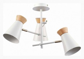 Потолочная люстра EVOLUCE Alfeo SLE1252-502-03 в Екатеринбурге - mebel24.online | фото 2