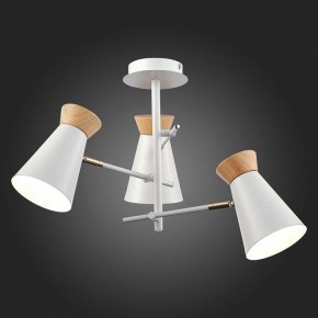 Потолочная люстра EVOLUCE Alfeo SLE1252-502-03 в Екатеринбурге - mebel24.online | фото 3