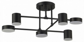 Потолочная люстра EVOLUCE Nobel SLE201042-06 в Екатеринбурге - mebel24.online | фото 11