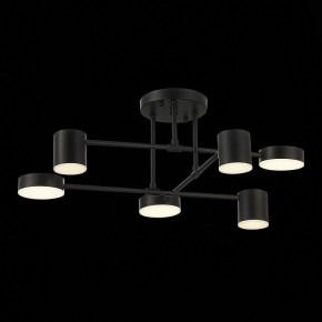 Потолочная люстра EVOLUCE Nobel SLE201042-06 в Екатеринбурге - mebel24.online | фото 13