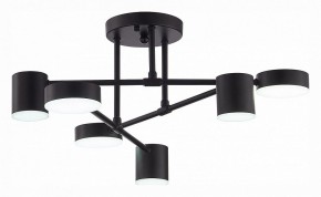Потолочная люстра EVOLUCE Nobel SLE201042-06 в Екатеринбурге - mebel24.online | фото 5