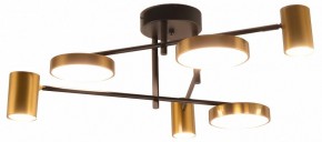 Потолочная люстра Kink Light Рапис 07645-6D,19(20) в Екатеринбурге - mebel24.online | фото