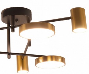 Потолочная люстра Kink Light Рапис 07645-6D,19(20) в Екатеринбурге - mebel24.online | фото 2