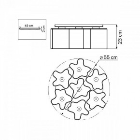 Потолочная люстра Lightstar Nubi 802070 в Екатеринбурге - mebel24.online | фото 6