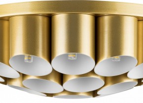 Потолочная люстра Lightstar Siena 720222 в Екатеринбурге - mebel24.online | фото 3