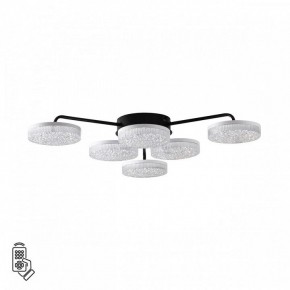 Потолочная люстра Lumion Didana 8236/6CL в Екатеринбурге - mebel24.online | фото 5