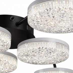 Потолочная люстра Lumion Didana 8236/6CL в Екатеринбурге - mebel24.online | фото 9