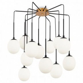 Потолочная люстра Maytoni Branch MOD176PL-12G в Екатеринбурге - mebel24.online | фото 3